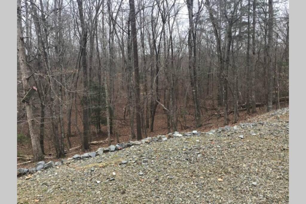 Eagle Mountain River Retreat 엘리제이 외부 사진